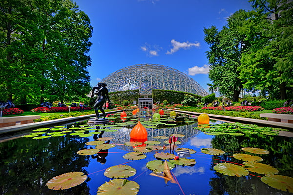 STL-botanical-garden.jpg