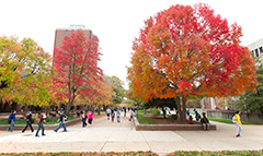 UMSL Campus