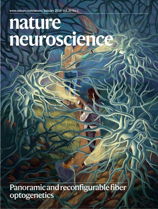 Nature Neuroscience magazine cover