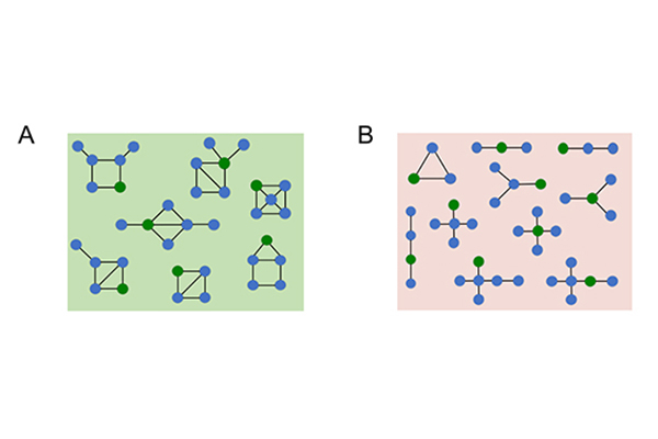 The graphs of successful models (green) had different properties than the unsuccessful models (red).  One important feature was that they needed to be more connected.