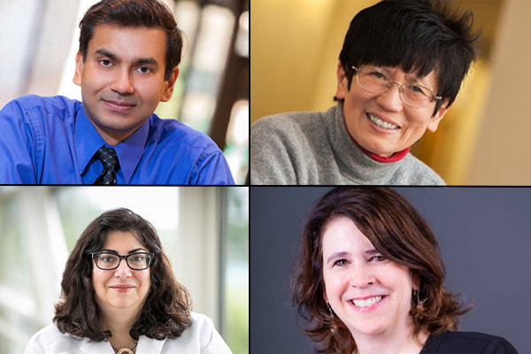 From top left, clockwise: Shantanu Chakrabartty, Quing Zhu, Christine Lorenz, Pamela Woodard, MD.