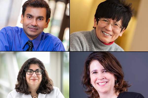From top left, clockwise: Shantanu Chakrabartty, Quing Zhu, Christine Lorenz, Pamela Woodard, MD.