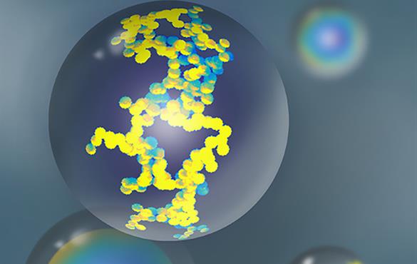 Soot particles remain suspended in the atmosphere as coated with organic matter. This coating results in non-linear enhancement of solar light absorption and subsequent heating of the surrounding air by these particles. (img: Chakrabarty Lab & Lisa Wable)