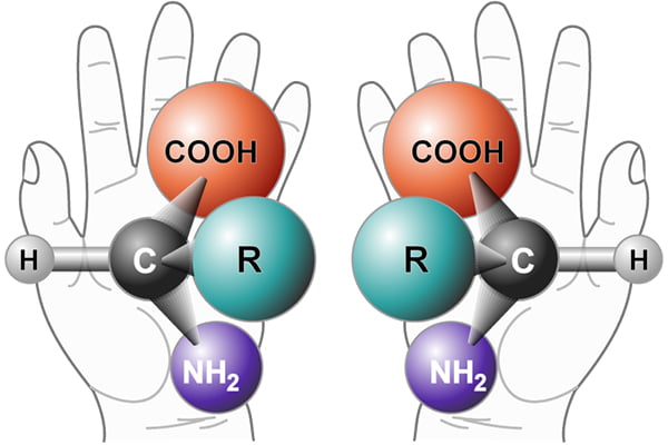 Biological molecules can be right- or left-handed, which affects how they interact with each other and their immediate environment.