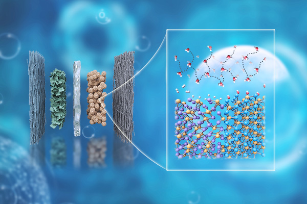 A team of researchers led by Gang Wu created a new energy-efficient catalyst using two phosphides to split hydrogen from water. The image on the left shows the dry cathode anion-exchange membrane water electrolyzer (AEMWE), and the image on the right shows the connected dynamic hydrogen bond network. (Credit: Gang Wu) 