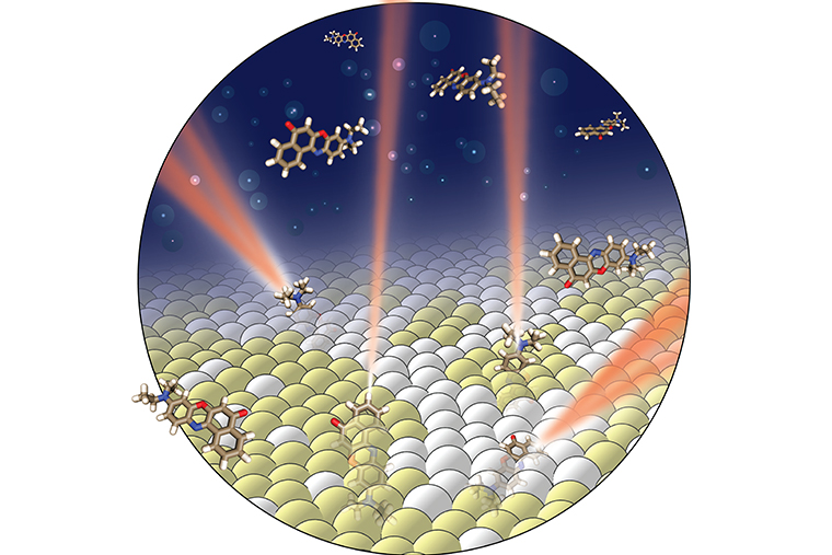 Using properties of light from fluorescent probes is at the heart of a new imaging technique that allows for an unprecedented look inside cell membranes. (Image: Jin Lu)