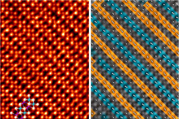 Atomic-resolution STEM image of La-doped HfO₂ (left) and the corresponding oxygen displacement vector map (right), revealing alternating antipolar layers with oppositely oriented local polarization, highlighted in orange and blue.