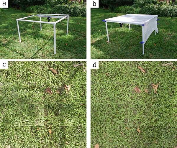 Robotany-Figure4-copy.png