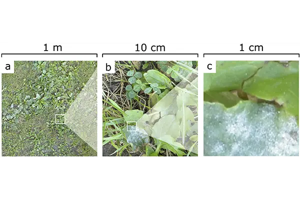 This video demonstrates how easily Robotany comes together.