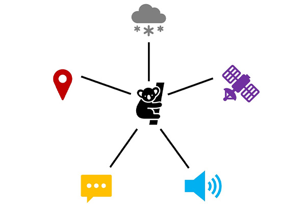 The TaxaBind framework creates a unified database by distilling information from five different modalities into one binding modality. In TaxaBind’s case, the binding modality is ground-level images of species (center) with (clockwise from top) global environmental features, satellite imagery, audio, text-based taxonomy and geographic location data feeding into the model’s capabilities for ecological applications. (Credit: Srikumar Sastry)