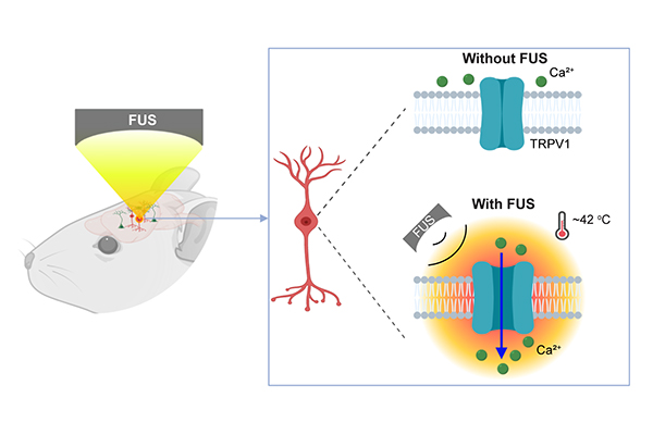 new-tool-activates-deep-brain.jpg