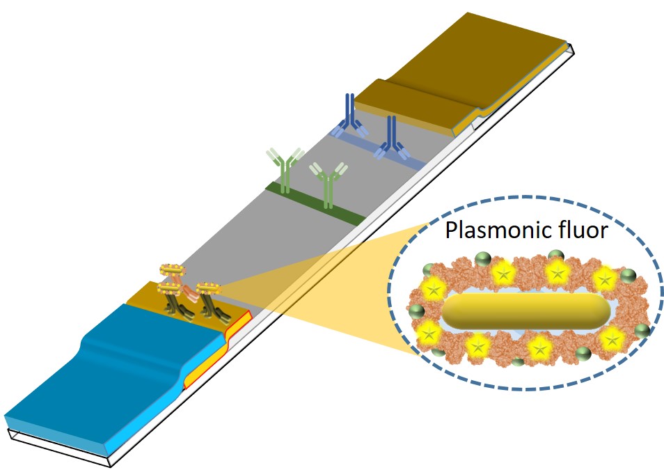 plasmonic fluor/pLFA