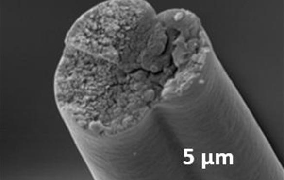 Engineered bacteria produce spider silk proteins that can be spun into strong fibers. CHRISTOPHER BOWEN